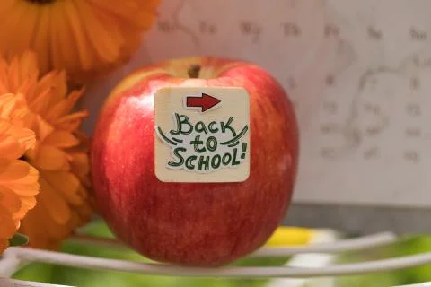 Back to School  Concept. 스톡 사진