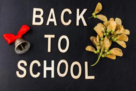 Back to school concept. Top view banner school bell and autumn dry leaves ove Stock Photos