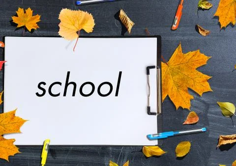 Back to school concept. Top view banner school bus and pencils next to tree s Stock Photos