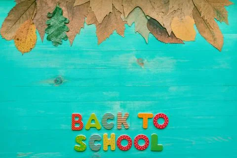 Back to school concept. Top view of colorful text and autumn dry leaves banne Stock Photos