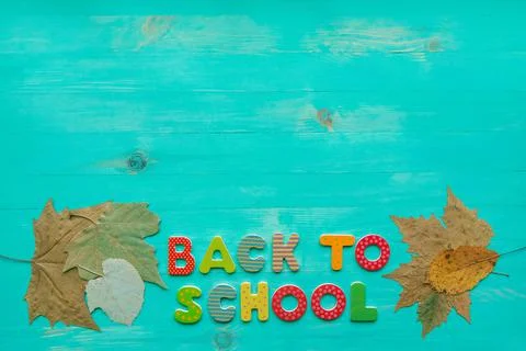 Back to school concept. Top view of colorful text and autumn dry leaves banne Stock Photos