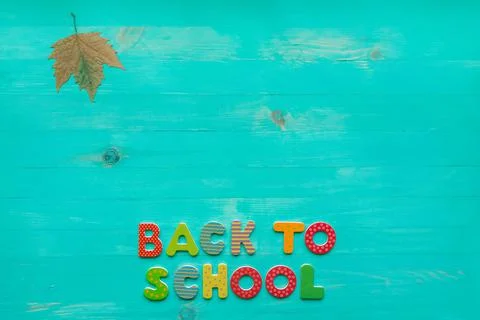 Back to school concept. Top view of colorful text and autumn dry leaf banner  Stock Photos