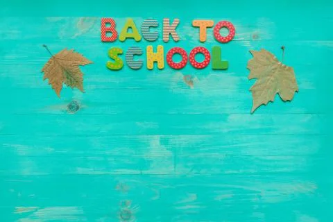 Back to school concept. Top view of colorful text and autumn dry leaves banne Stock Photos