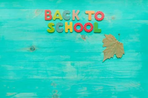 Back to school concept. Top view of colorful text and autumn dry leaf banner  Stock Photos