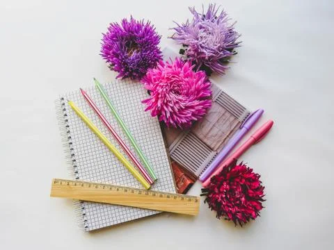 Back to school concept on white background Stock Photos