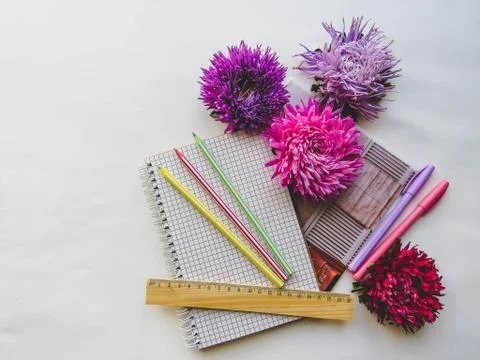 Back to school concept on white background Foto stock