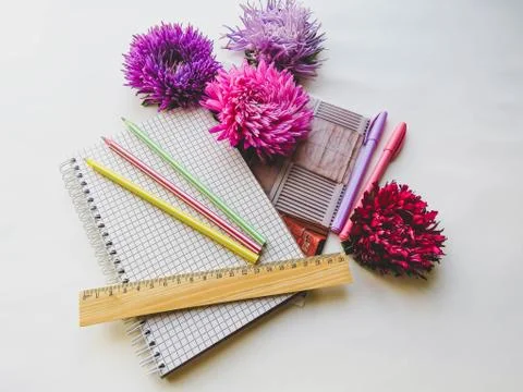 Back to school concept on white background Stock Photos