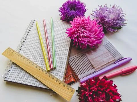 Back to school concept on white background Stock Photos