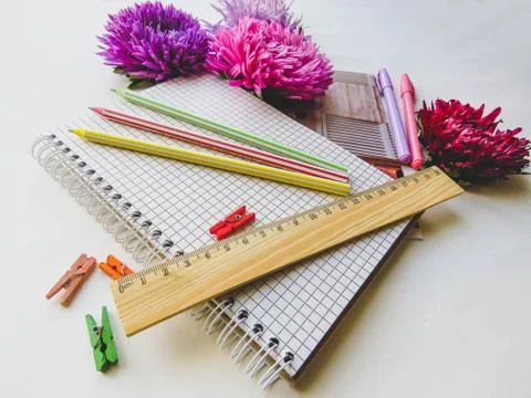 Back to school concept on white background Stock Photos