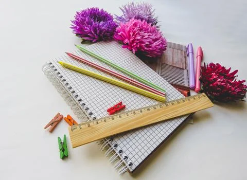 Back to school concept on white background Stock Photos