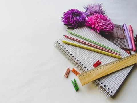 Back to school concept on white background Stock Photos