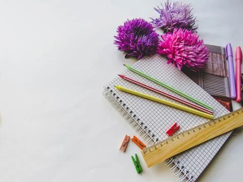 Back to school concept on white background Foto stock