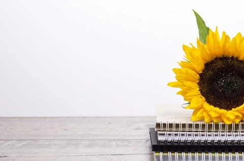 Back to school desk background with stack of sketchbooks or notebooks Foto stock