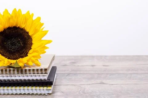 Back to school desk background with stack of sketchbooks or notebooks Stock Photos