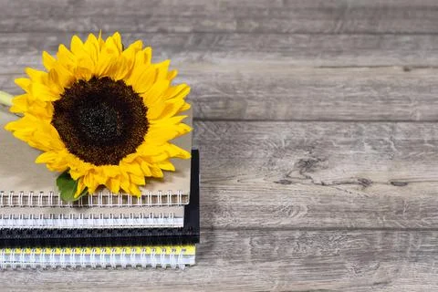 Back to school desk background with stack of sketchbooks or notebooks Stock Photos
