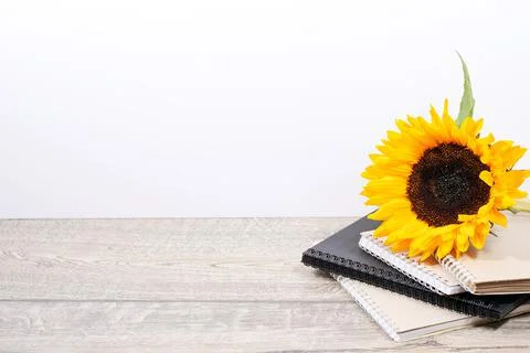 Back to school desk with stack of sketchbooks and yellow sunflower Stock Photos