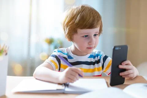 Back to school. Distance learning online education. Caucasian smile kid boy s Stock Photos