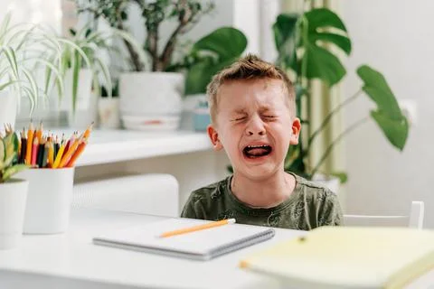 Back to school. Distance learning online education. Caucasian crying kid boy Stock Photos