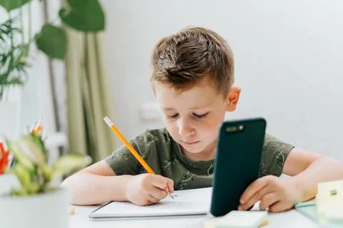 Back to school. Distance learning online education. Caucasian smile kid boy Stock Photos