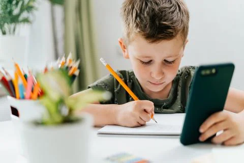 Back to school. Distance learning online education. Caucasian smile kid boy Stock Photos