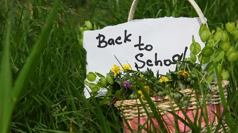 Back to School, education concept Stock-Footage 63434962