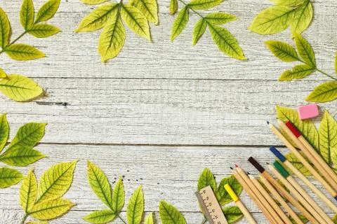 Back to school. Flatlay background. Table with autumn leaves. Stock Photos