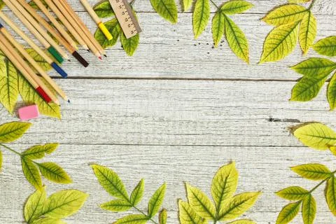 Back to school. Flatlay background. Table with autumn leaves. Foto stock