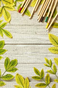 Back to school. Flatlay background. Table with autumn leaves. Stock Photos
