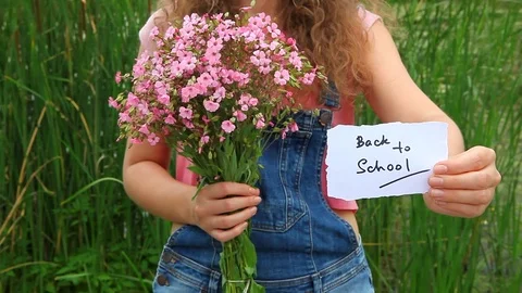 Back to school Stock Footage 76868455