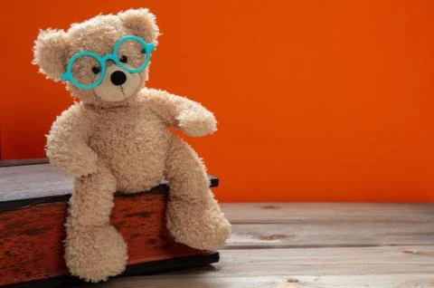 Back to school, knowledge. Smart kid, cute teddy wearing eyeglasses sitting o Stock Photos