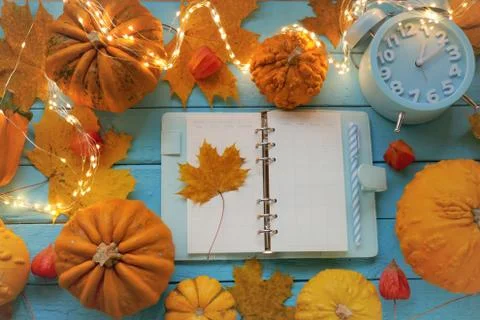 Back to school. Lesson plan.Studying time.Timetable of classes. Stock Photos