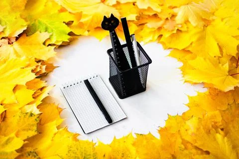 Back to school. Stock Photos