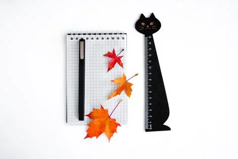 Back to school. Stock Photos