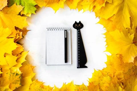 Back to school. Stock Photos