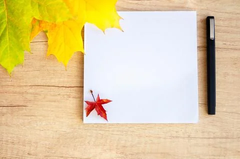 Back to school Stock Photos