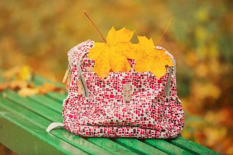 Back to school. Red school backpack standing on green bench. school backpac.. Stock Photos