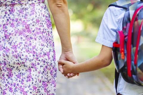 Back to school. Schoolboy is ready go to school. Cute child with a backpack o Stock Photos