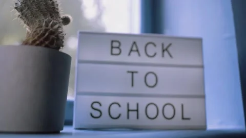 Back to school Sign on the lightbox on the window near cactus Stock Footage 136758104