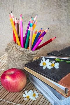 Back to school. to study Stock Photos