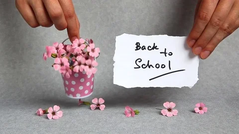 Back to school, words with pink flowers 動画素材 77314508
