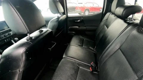 Back seat of a vehicle Stock Footage 229005783