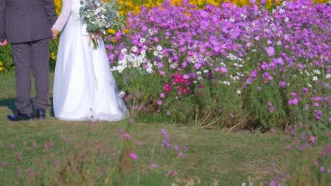 Back shot of a couple of bride and groom shooting portrait at cosmos flower fiel Stock Footage 169394959