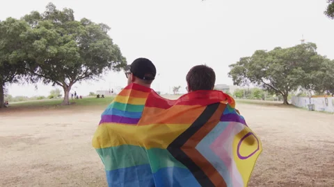 Back shot of two young men hugging with LGBT flag Stock Footage 247186772