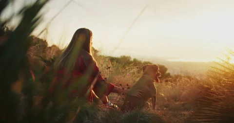 Back shot view from grass of cute young female gently petting dog enjoying Video stock 140735869