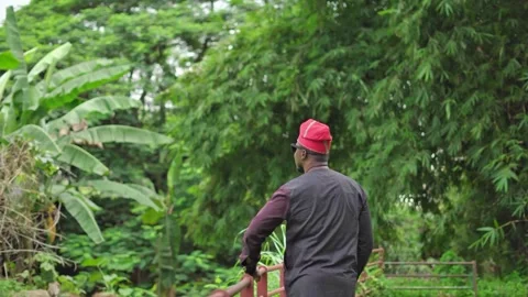 Back-shot of a Yoruba man staring into the future.   Stock-Footage 283984697