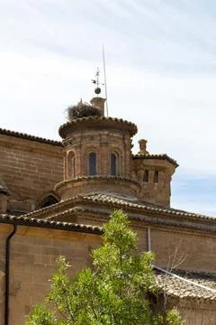 The back side of the cathedral of Barbastro,with storks on the roof, Stock Photos