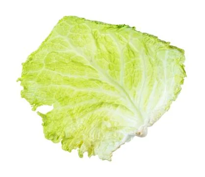 Back side of fresh leaf of savoy cabbage cutout Stock Photos