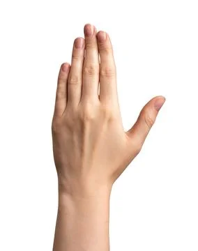Back side of hand isolated on white background Stock Photos