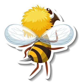 Back side of honey bee cartoon character sticker イラスト素材