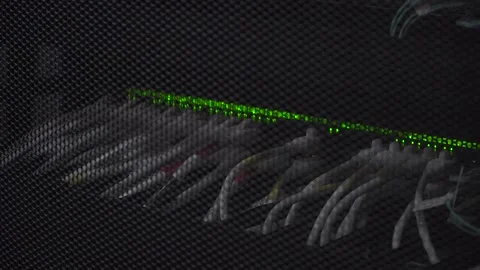 Back Side Of Modern Working Data Center Servers With Cables Stock Footage 131264702